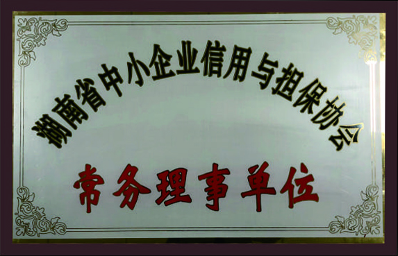 湖南省中小企業(yè)信用與擔(dān)保協(xié)會常務(wù)理事單位