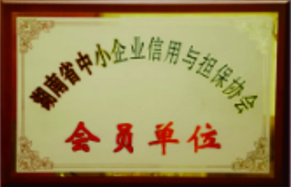 湖南省中小企業(yè)信用與擔(dān)保協(xié)會會員單位