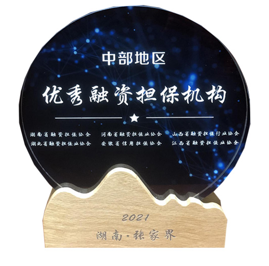中部地區(qū)優(yōu)秀融資擔(dān)保機(jī)構(gòu)